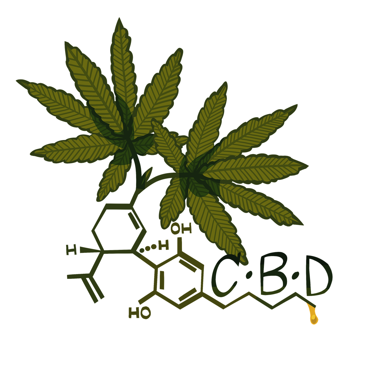 Alles wat je moet weten over stonedoos Hoogeveen
