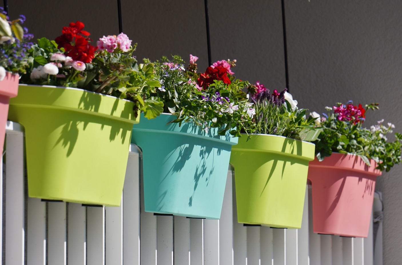 Welke planten passen het beste in kleine plantenbakken?